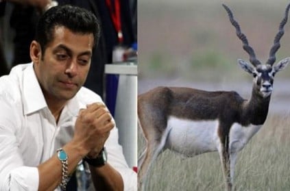 Black buck poaching case: Important day for Salman Khan & others