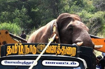 GV Prakash gives voice to save famous TN elephant chinnathambi