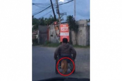 Pet dog pushes man on wheelchair in philippines