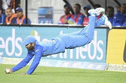 Watch: Dinesh Karthik\'s sensational catch against New Zealand
