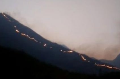 Theni forest fire: Death toll rises to 22