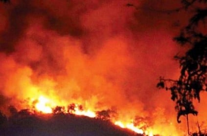 TN govt to set new rules for trekkers after Kurangani forest fire