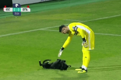 Dog invades football pitch during match and asks for belly rubs