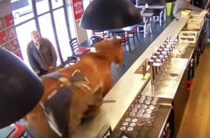 Watch - Horse suddenly walks into bar and goes crazy