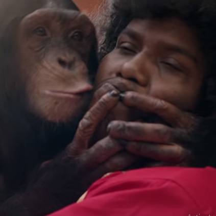 Gorilla Official trailer video