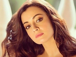 RHTDM fame Dia Mirza says she these incidents have damaged her career and reputation
