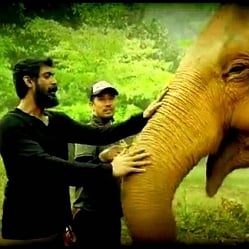 Rana Daggubati's Kaadan - If this is the making video, how magnificent would the film be? WATCH!